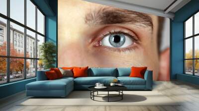 Beautiful blue man eye close up Wall mural