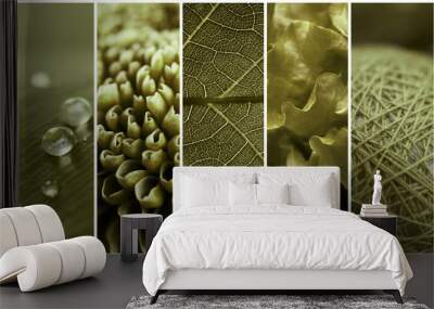 Beautiful collage of green color Wall mural