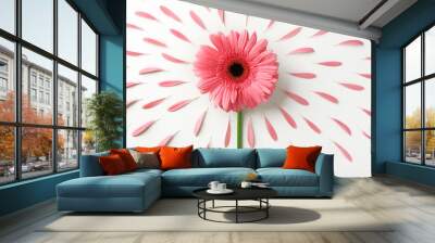 Beautiful flower with petals on white background Wall mural