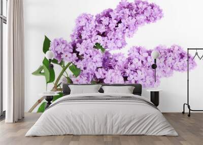 Beautiful lilac flowers isolated on white Wall mural