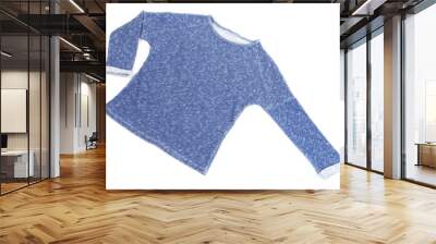 Blue short pullover isolated on white background Wall mural