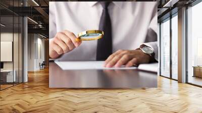 Businessman reading documents with magnifier Wall mural