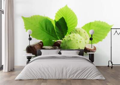 Chestnuts with leaves, isolated on white Wall mural