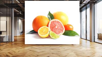 Citrus fruits on white background Wall mural