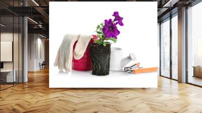 Composition with blooming petunia and gardening tools on white background Wall mural