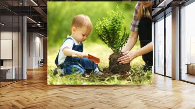 Cute baby boy planting tree with parent in garden Wall mural