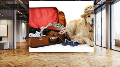 Cute Labrador with suitcase isolated on white Wall mural