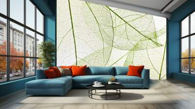 Decorative skeleton leaves background Wall mural