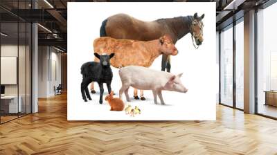 Different animals on white background Wall mural