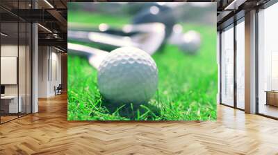 Different golf clubs in a row and balls on a green grass, close up Wall mural