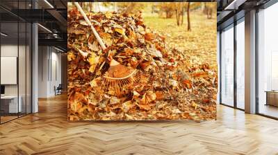 Fan rake and pile of fallen leaves in autumn park Wall mural