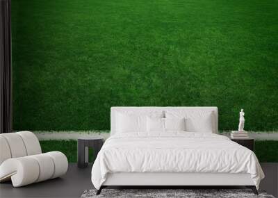 Football field background Wall mural