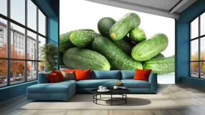 fresh cucumbers isolated on white Wall mural