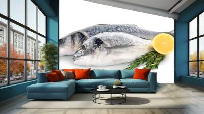 Fresh fish with lemon and rosemary isolated on white background Wall mural