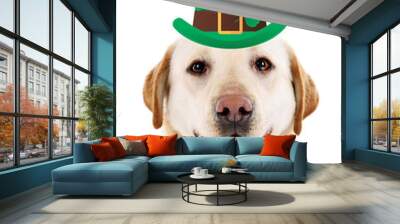 Funny happy dog with St. Patrick's Day hat, isolated on white Wall mural