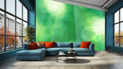 Green abstract nature background with sunlight Wall mural