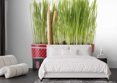 green grass in two flowerpot isolated on white Wall mural