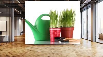 green grass in two flowerpot isolated on white Wall mural