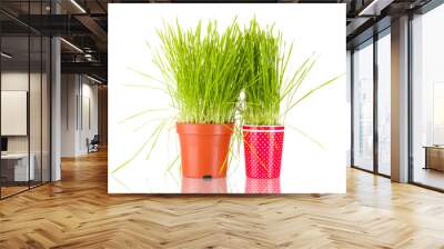 Green grass in two flowerpot isolated on white Wall mural