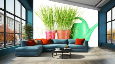 green grass in two flowerpot on blue background Wall mural