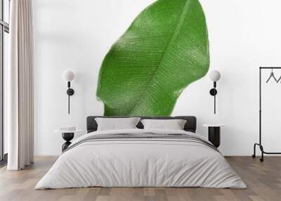 Green tea leaf, isolated on white Wall mural