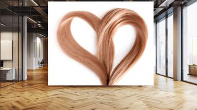 Hair heart, isolated on white Wall mural