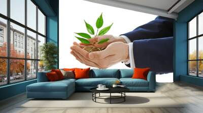 Hands holding plant sprouting from a handful of coins on white background Wall mural