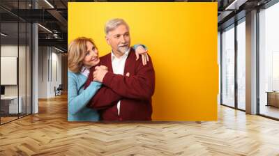 Happy senior couple on color background Wall mural