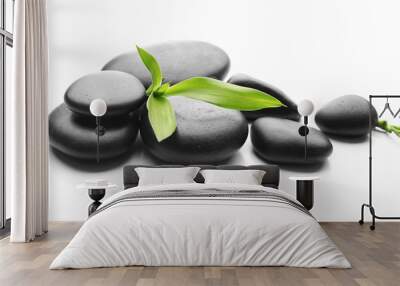 Heap of spa hot stones isolated on white Wall mural