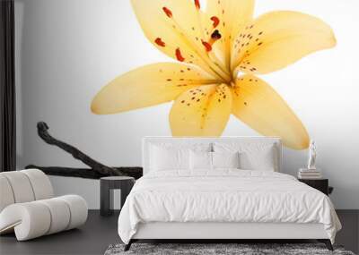 Lily flower and vanilla sticks isolated on white Wall mural