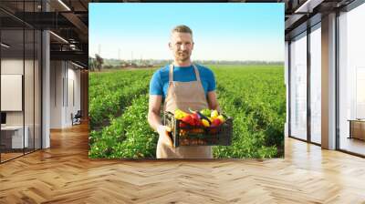 Male farmer holding plastic box with vegetables in field Wall mural