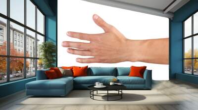 Men hand isolated on white Wall mural