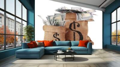 Money in bags isolated on white Wall mural