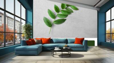 Palette with green color and branch on grey background Wall mural