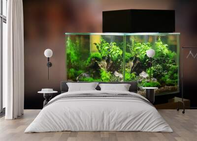 Pet shop aquarium Wall mural