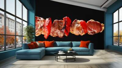 Pork kebab on black background Wall mural