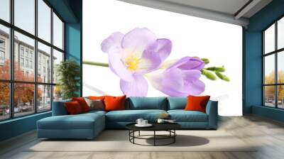 Purple freesia flower, isolated on white Wall mural