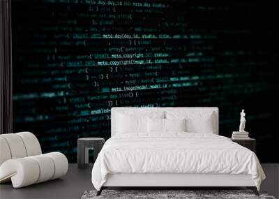 Script code on monitor, closeup. Software development concept Wall mural