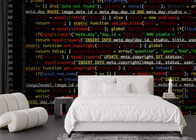 Script code on monitor, closeup. Software development concept Wall mural