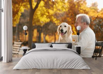 Senior man and big dog sitting on bench in park Wall mural