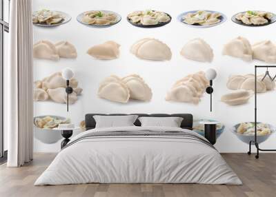 Set of delicious dumplings on white background Wall mural