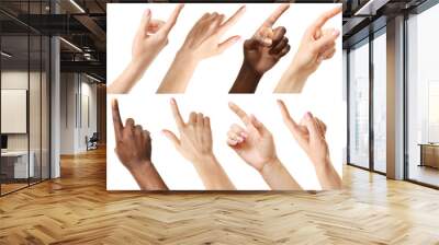 Set of different hands touching or pointing to something, isolated on white Wall mural