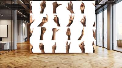 Set of male hands gestures, isolated on white Wall mural