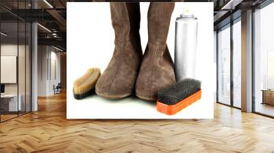 set of stuff for cleaning and polish shoes, isolated on white Wall mural