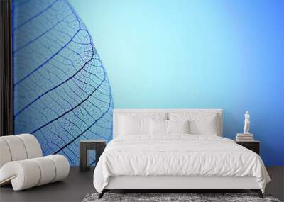 Skeleton leaf on blue background, close up Wall mural