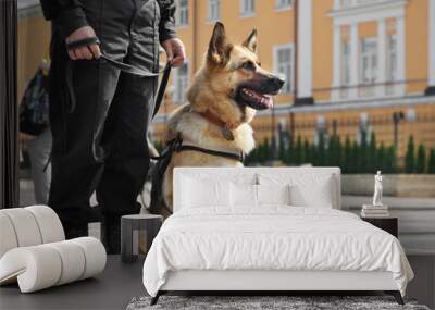 Smart police dog sitting outdoors Wall mural