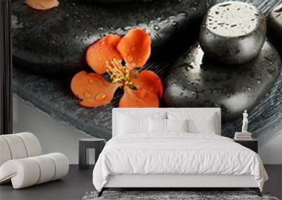 Spa stones and flowers isolated on white Wall mural