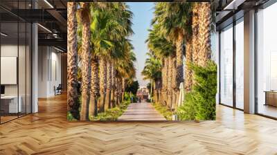 Tropical palm tree alley at resort Wall mural