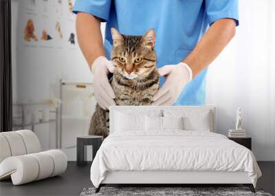 Veterinarian examining cat in clinic Wall mural