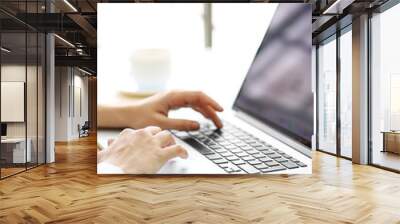 woman typing on laptop Wall mural